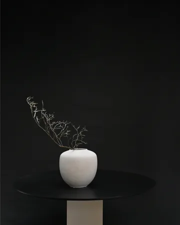 Sunao 托盘 中号 30cm - 桦木色 - 101 Copenhagen