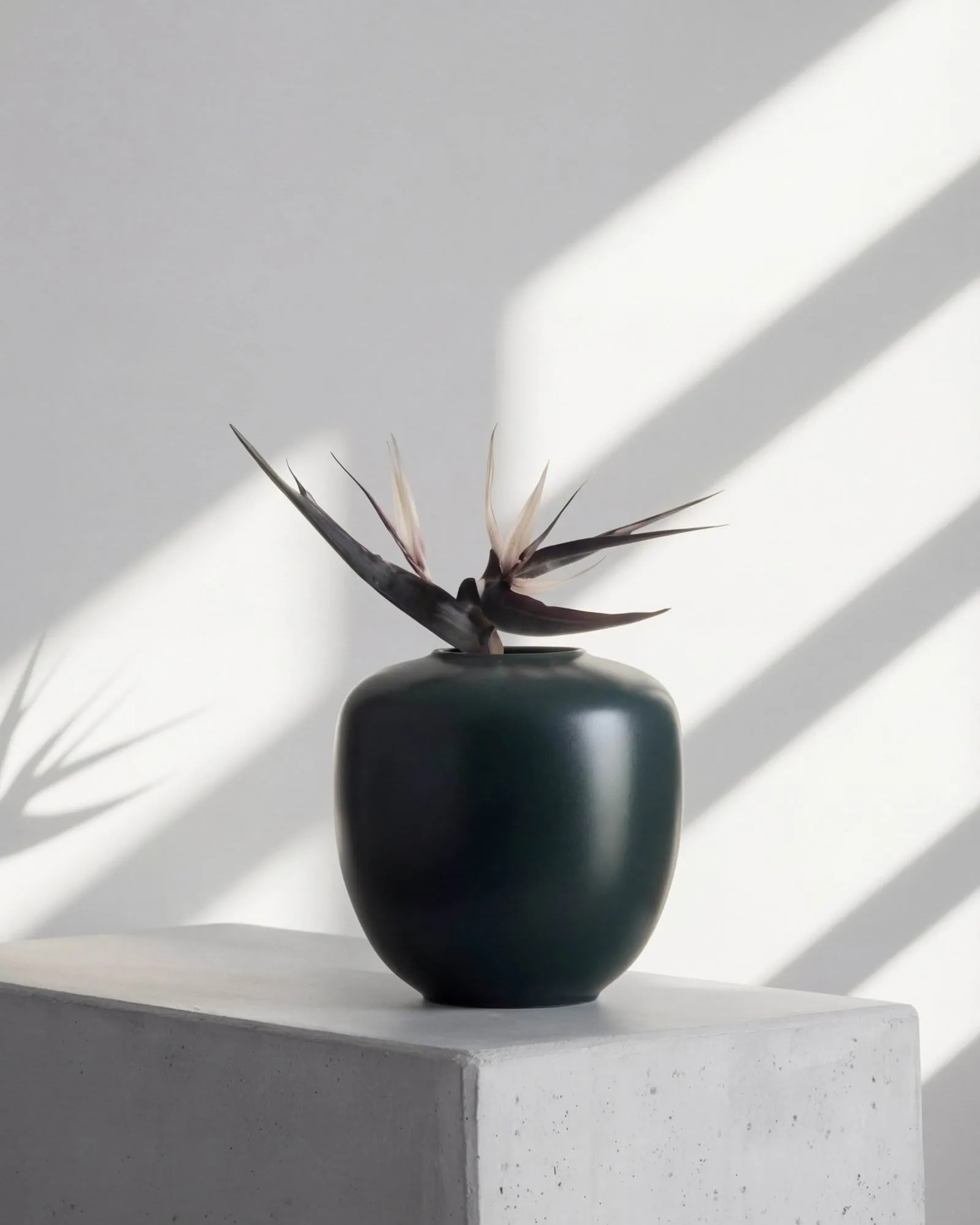 Sunao 托盘 中号 30cm, 深绿色 101 Copenhagen
