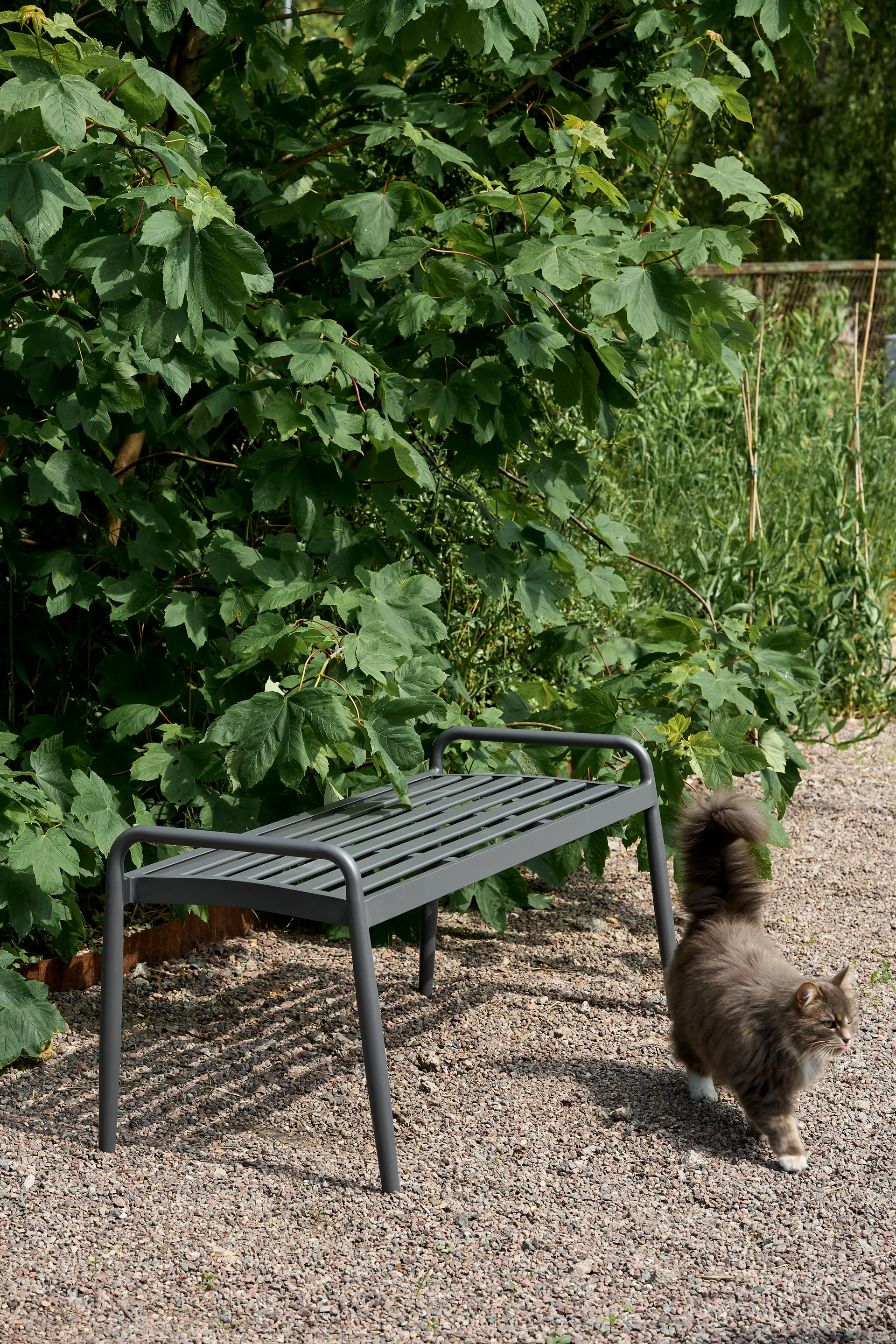 Messina 长椅 51x124 cm, Anthracite 1898