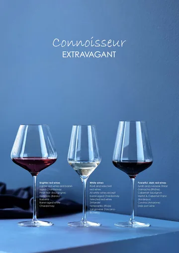 Connoisseur Extravagant 白葡萄酒杯 405ml 4个装 - 透明 - Aida