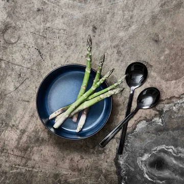 Raw 高碗 Ø19.5cm - midnight 蓝色 - Aida