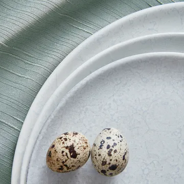 Raw 盘 Ø28cm - 极地白 - Aida