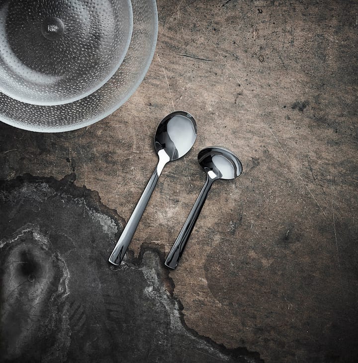 Raw serving 勺子 and ladle, Polished 不锈钢 Aida