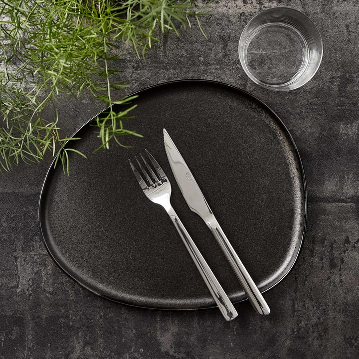 Raw steak knife, 不锈钢 Aida