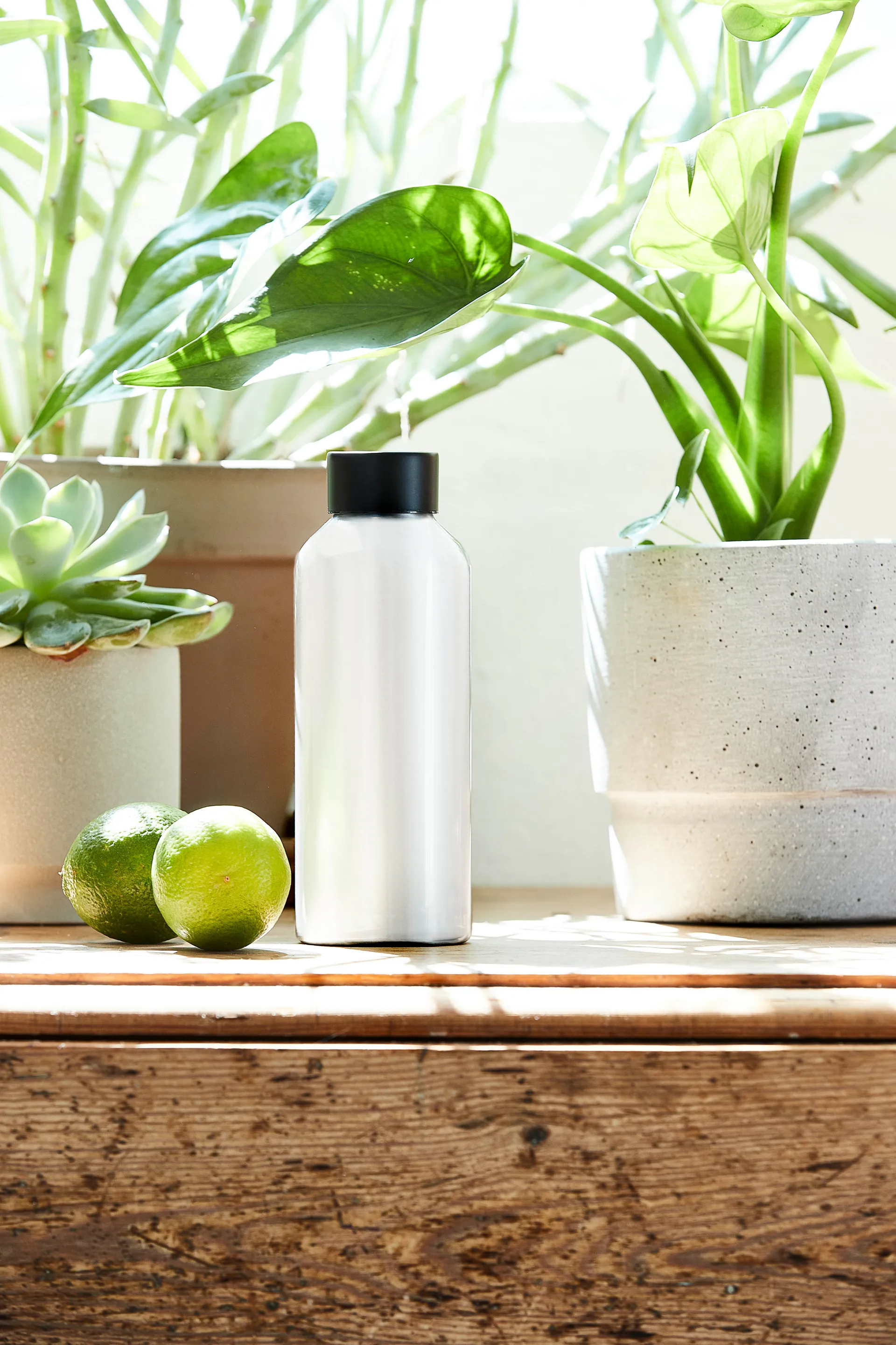 To Go aluminum flask 0.5 L, Shiny 白色 Aida