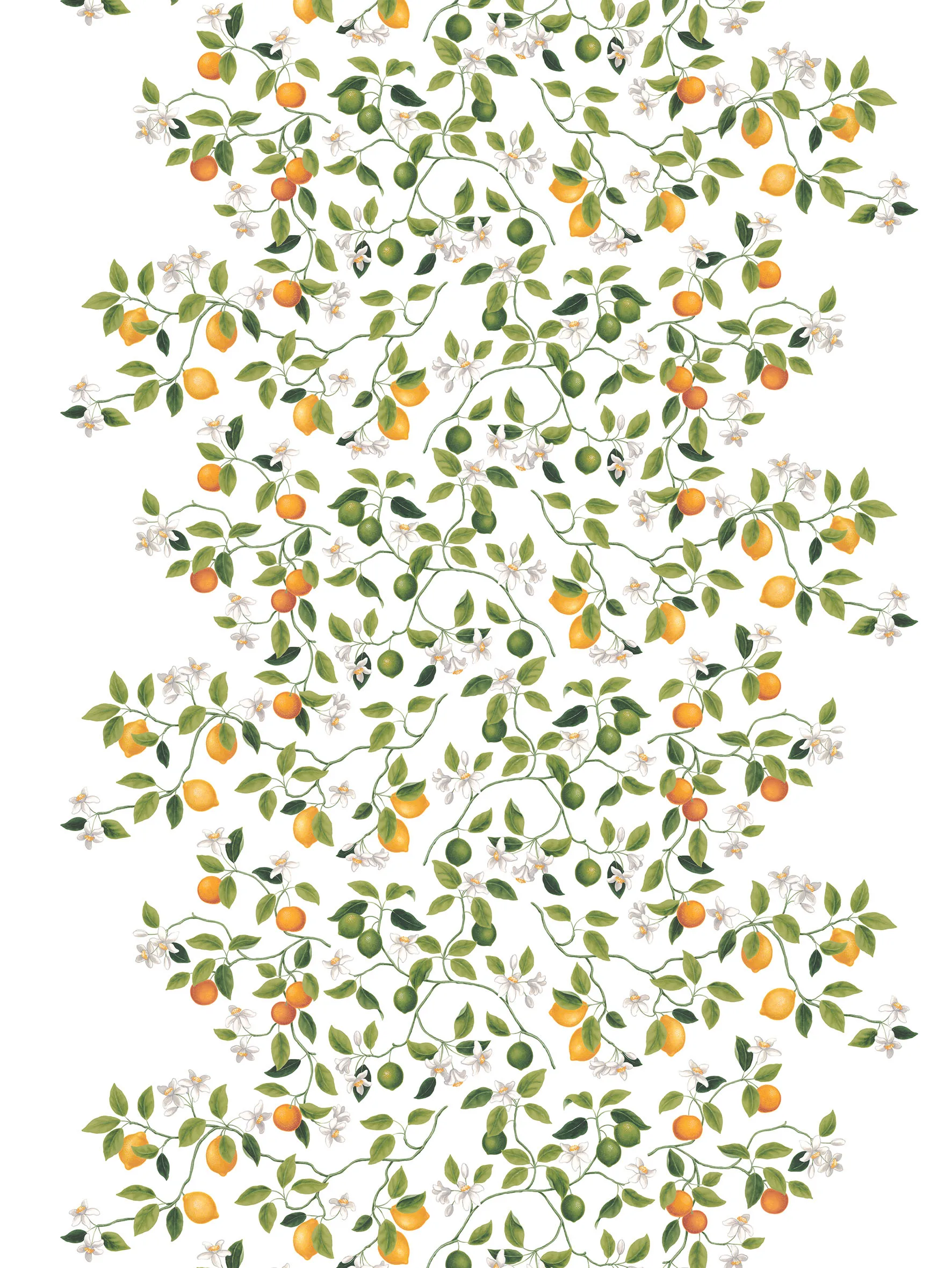 Citrusträdet oilcloth, 绿色-绿色 Arvidssons Textil