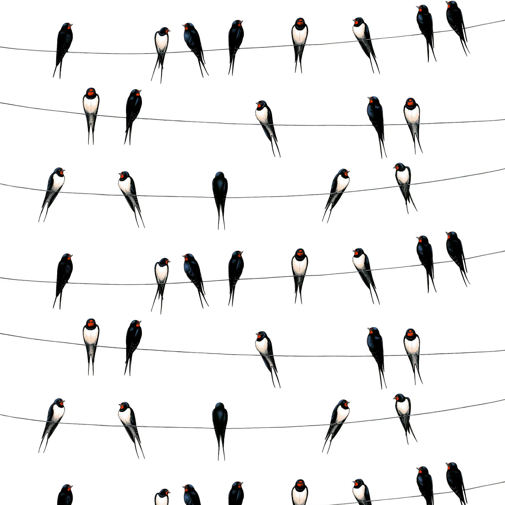 Ladusvalor 纺织品 (fabric), 白色 Arvidssons Textil