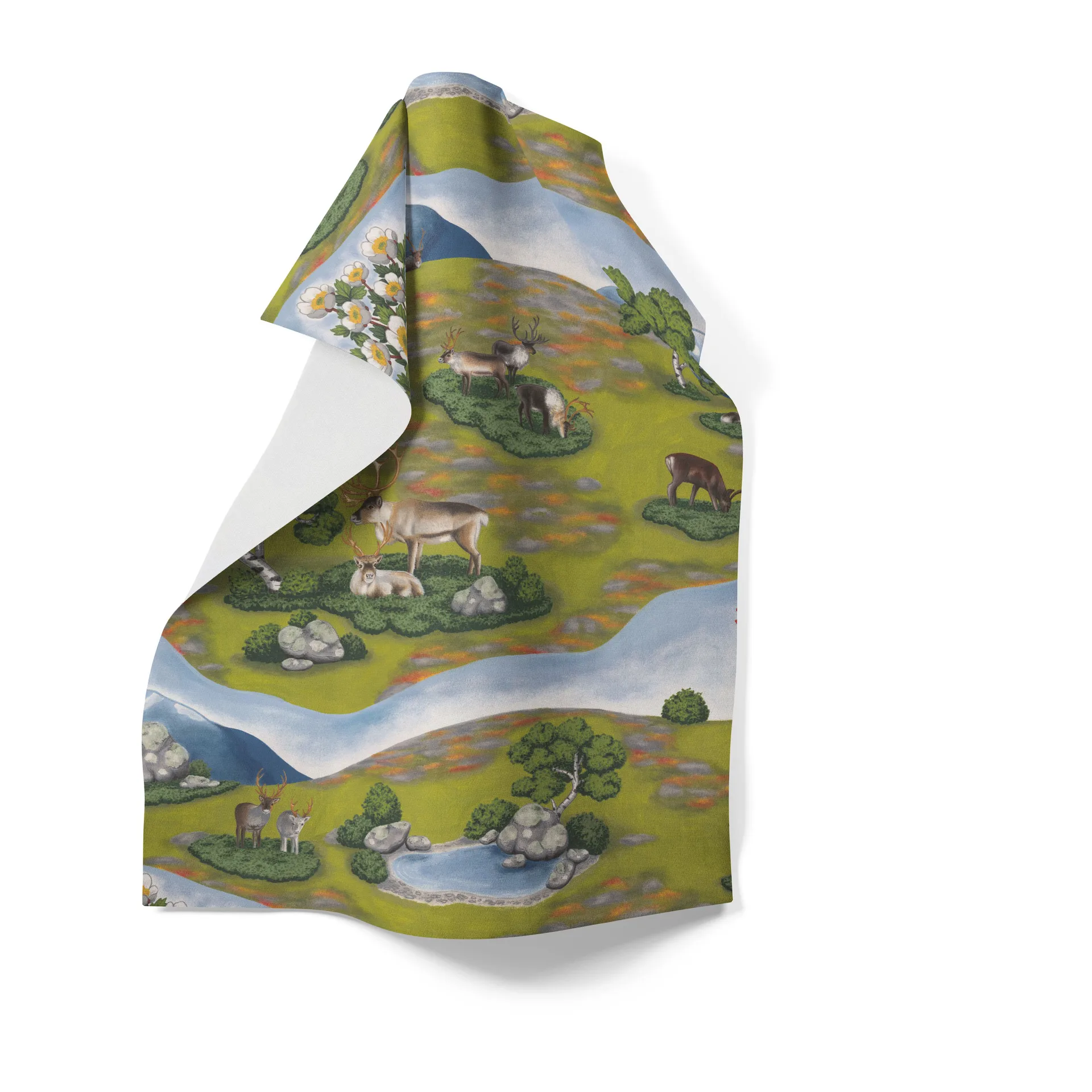 Renvandring 厨房巾  65x85 cm, 绿色 Arvidssons Textil