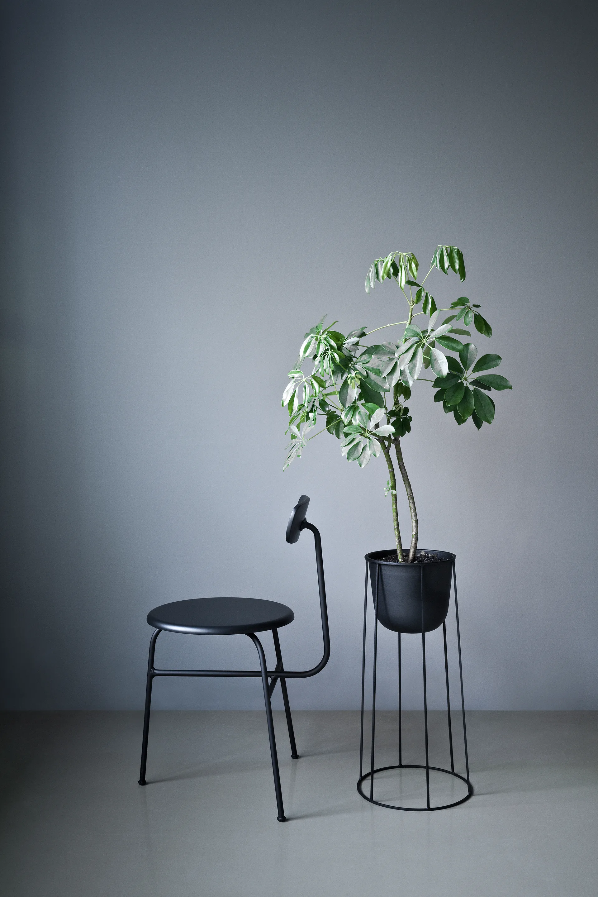 Afteroom 椅子 leather seat 4 legs, 黑色-黑色 Audo Copenhagen