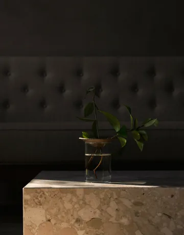 Cresco 繁殖花瓶 2件 - 棕色_透明 - Audo Copenhagen