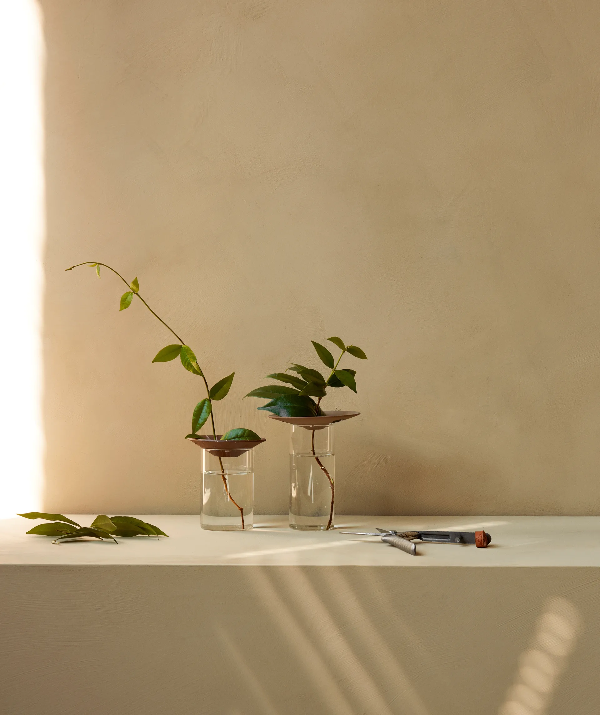 Cresco 繁殖花瓶 2件, 棕色_透明 Audo Copenhagen
