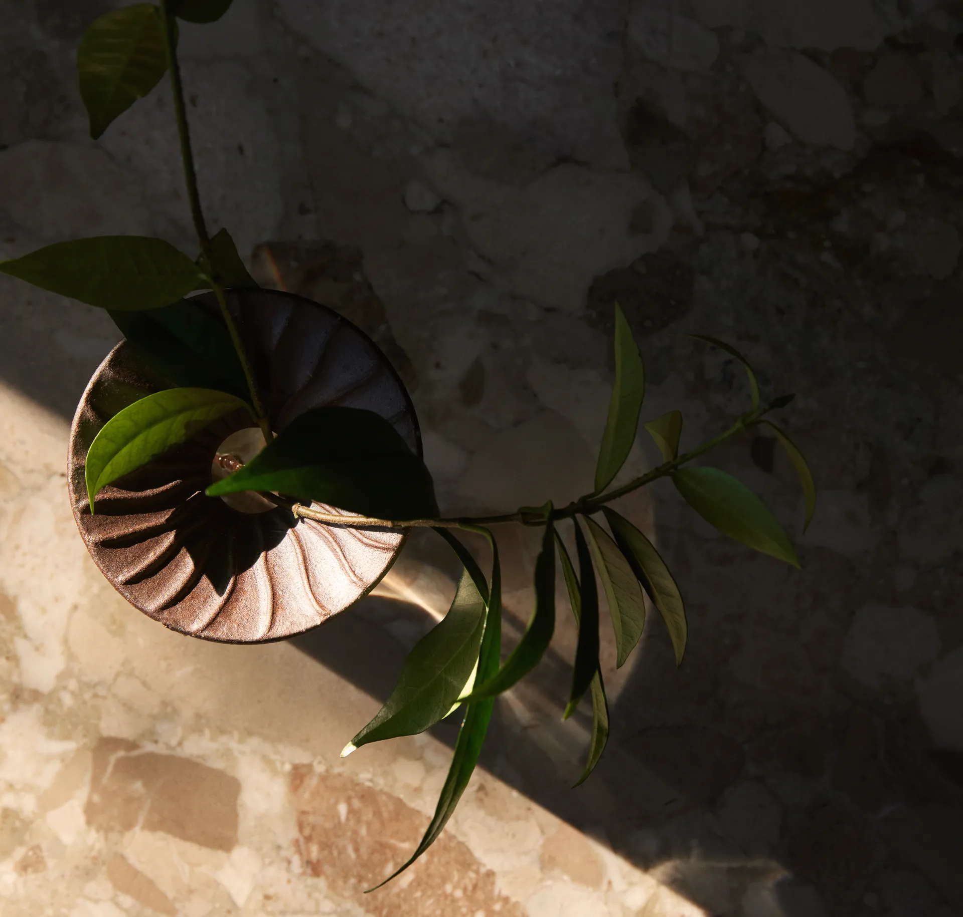 Cresco Propagation 花瓶 2 pieces, 棕色-透明 Audo Copenhagen