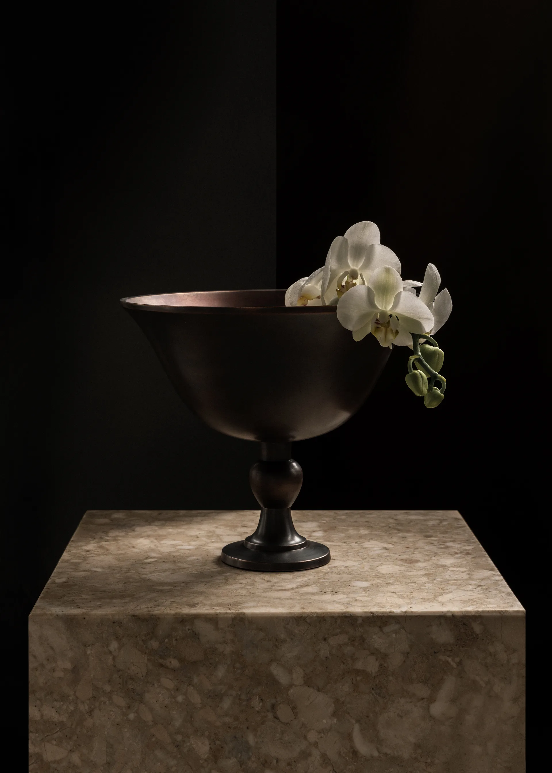 Pavot 碗, 褐色 Audo Copenhagen