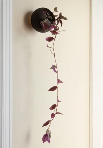 Globe 墙面花盆Ø17cm - 黑色 - AYTM