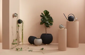 Globe 墙面花盆Ø17cm - 灰褐色 - AYTM