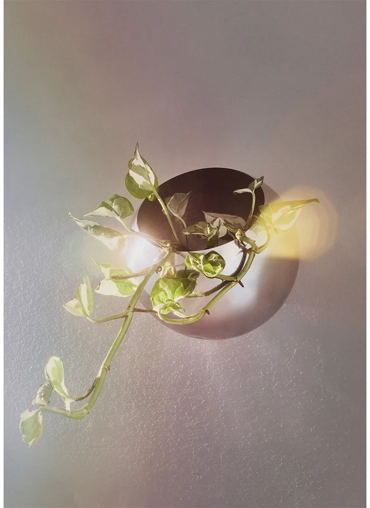 Globe 墙面花盆Ø21cm, 银色 AYTM
