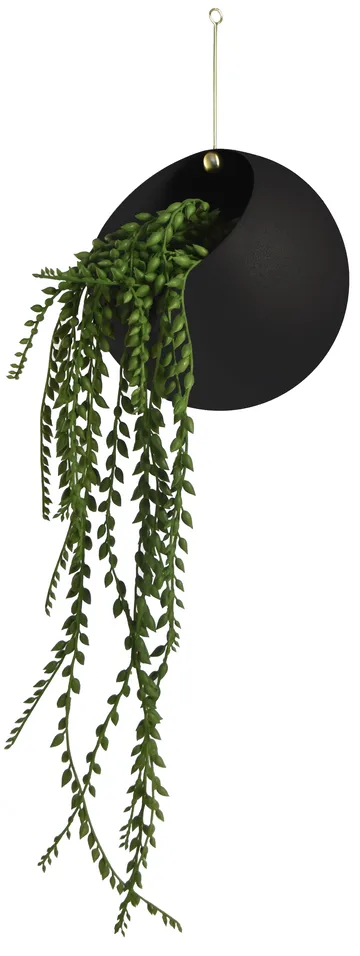 Globe 悬挂式花盆Ø21cm高32cm - 黑色 - AYTM
