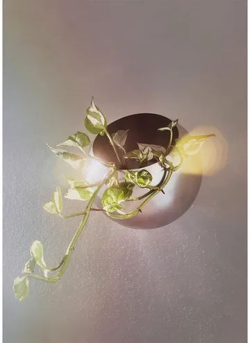 Globe 花盆 vägg Ø17 cm - 银色 - AYTM