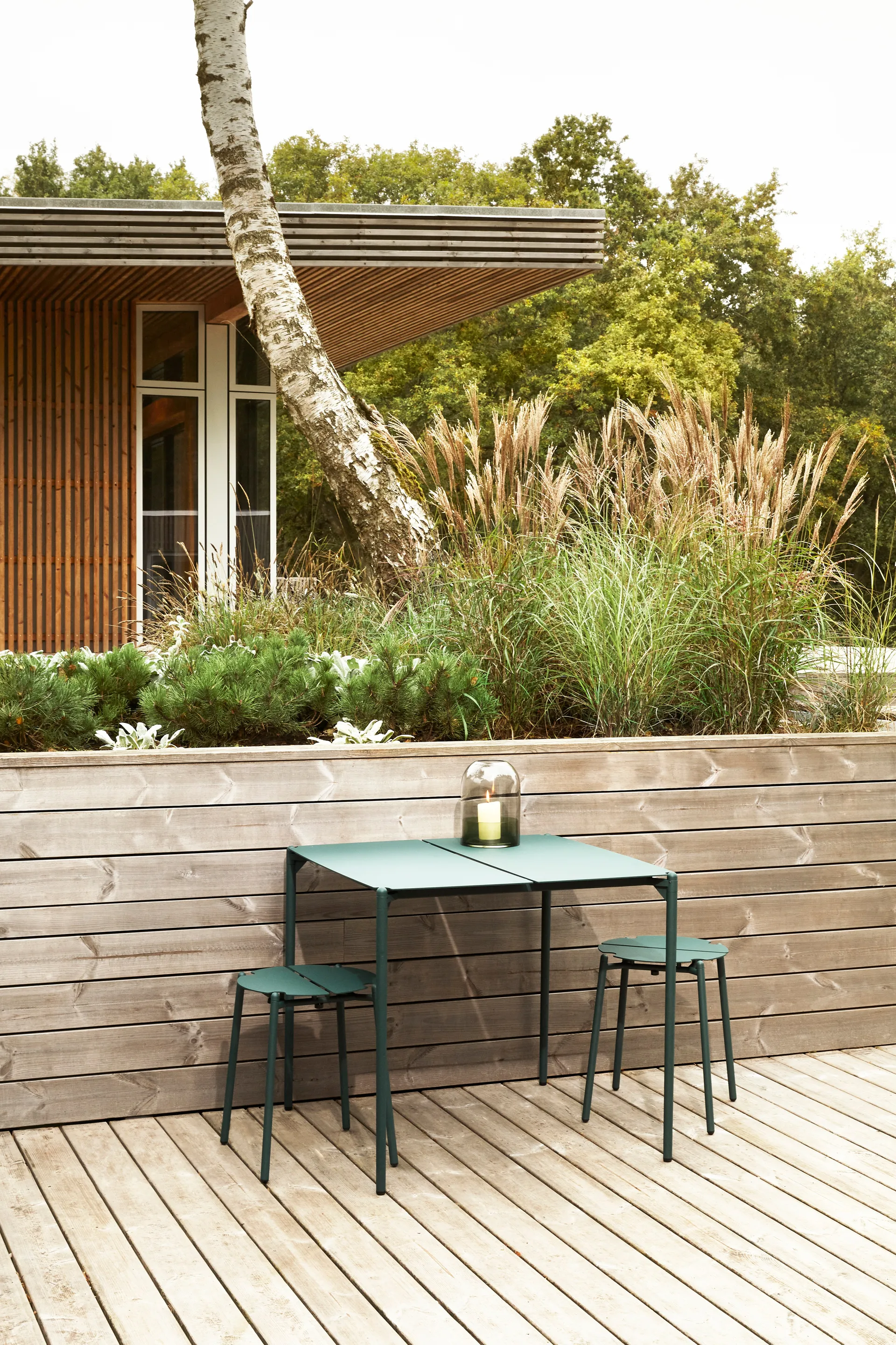 NOVO 凳子, Forest AYTM