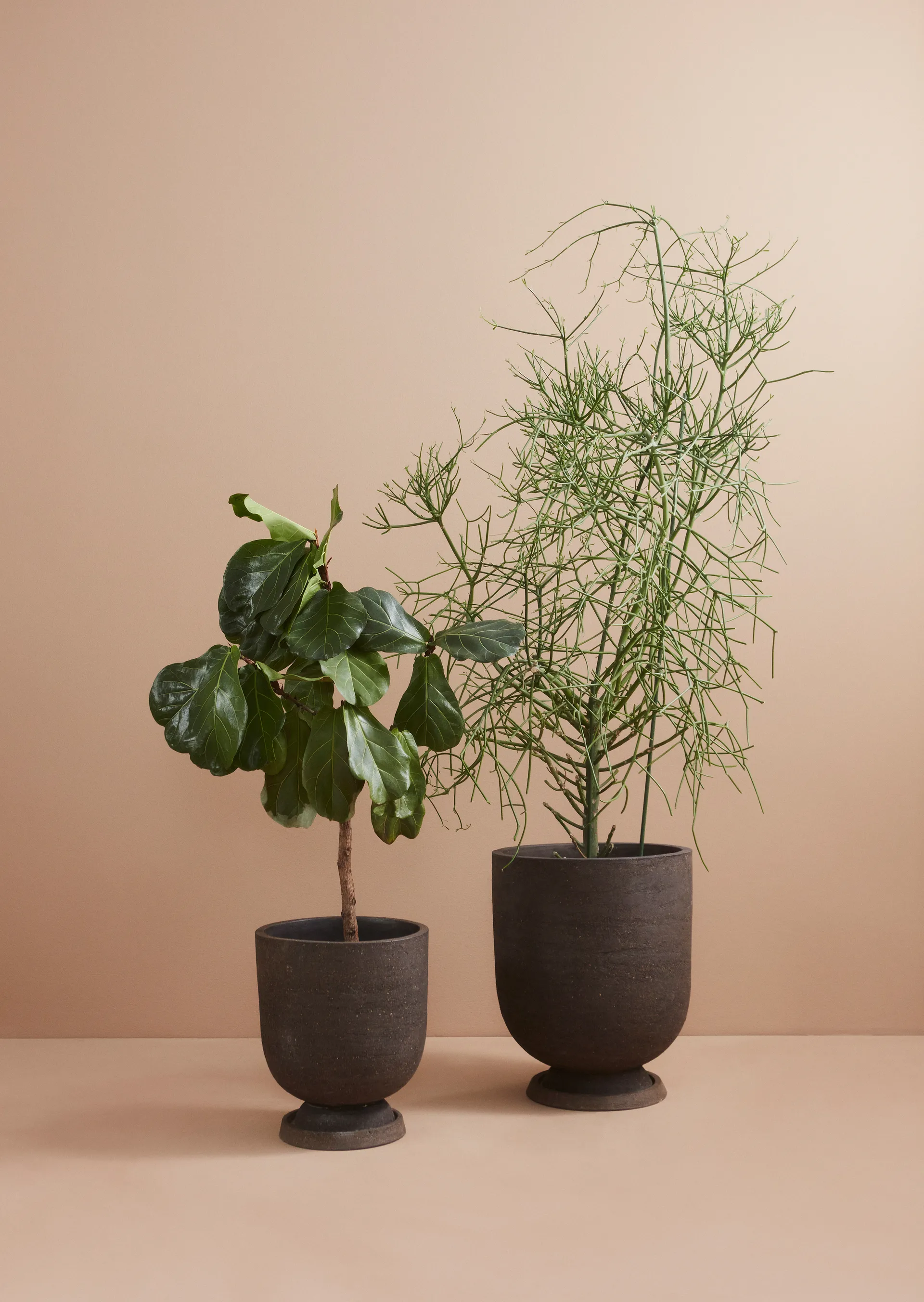 Terra 花盆花瓶Ø20cm, 爪哇棕色 AYTM