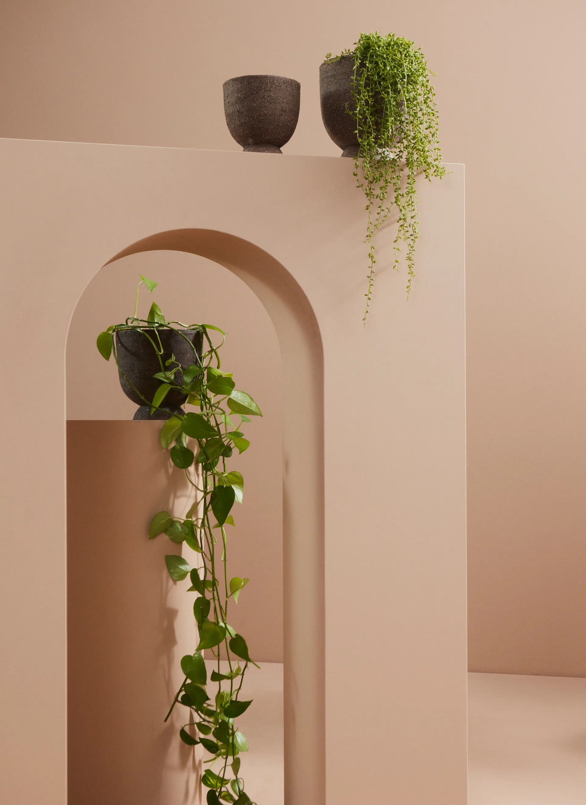 Terra flower pot- 花瓶  Ø20 cm, Java 棕色 AYTM