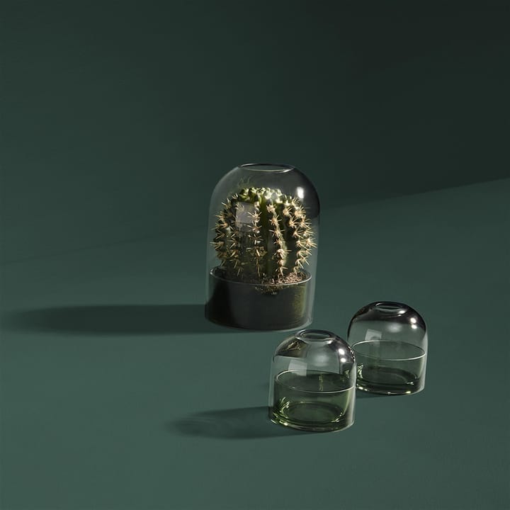 Tota lantern, 绿色 AYTM