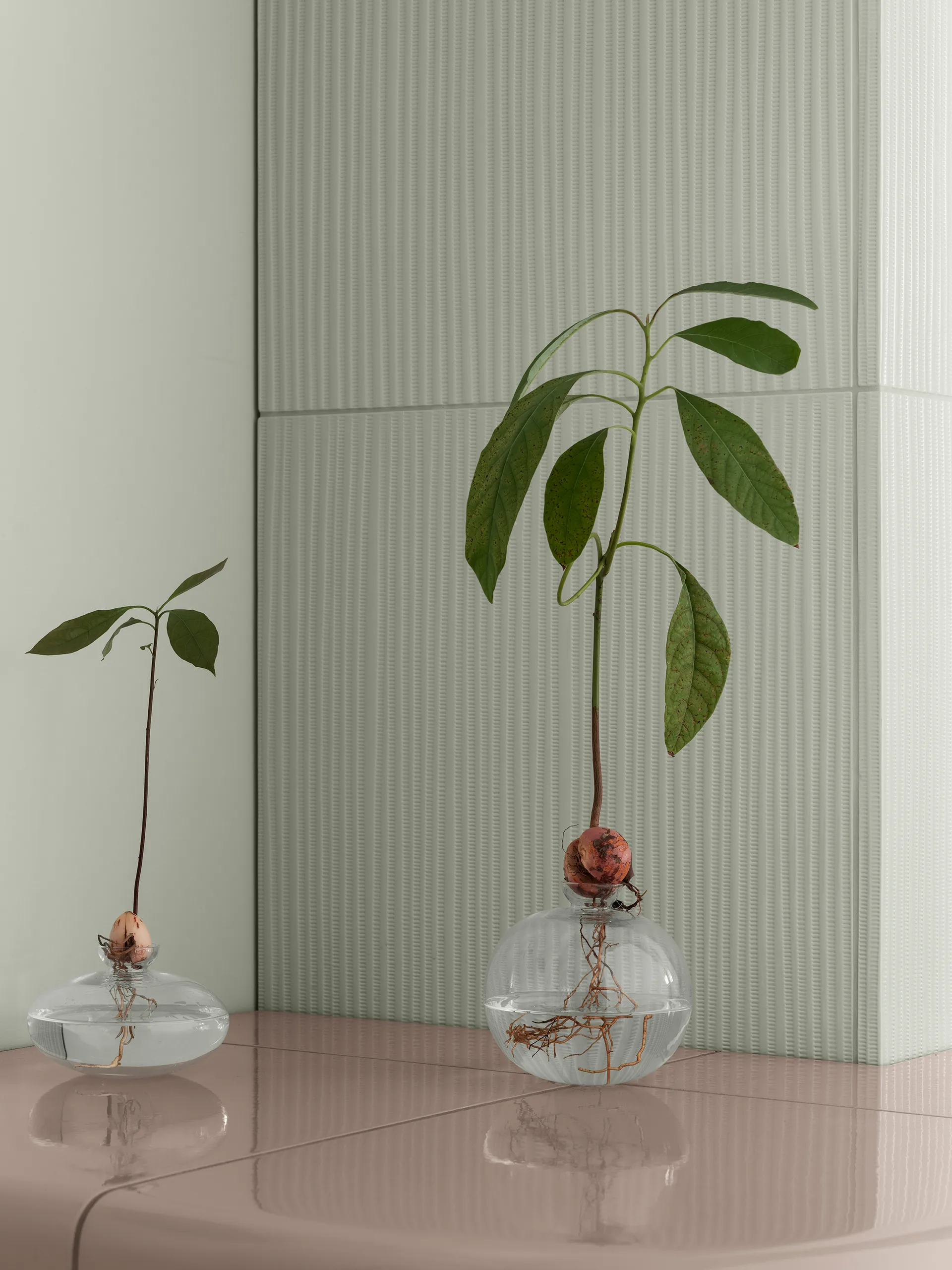 Avo 花瓶 14.5cm, 透明 blomus