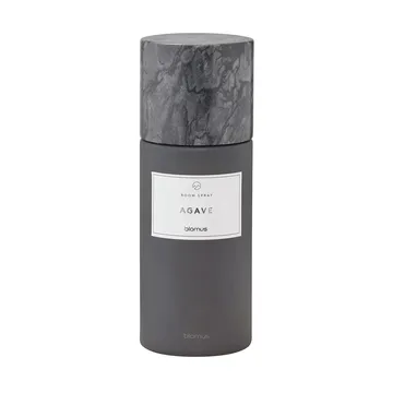 Frabli 室内喷雾 100ml - 龙舌兰绿_磁铁灰 - blomus