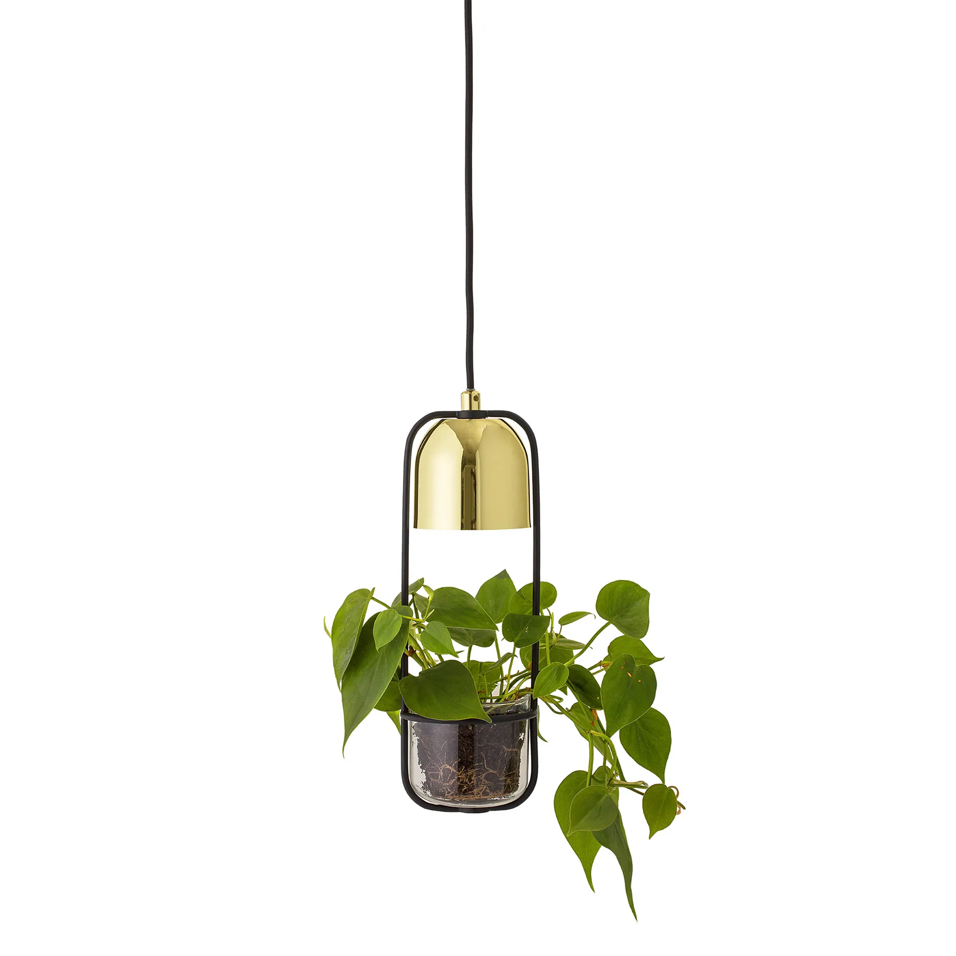 Bloomingville ceiling 灯 with hanging basket Ø10 cm, clear-gold Bloomingville