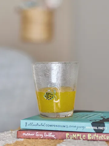 Finney北欧风格水杯玻璃杯31cl - 透明色 - Bloomingville