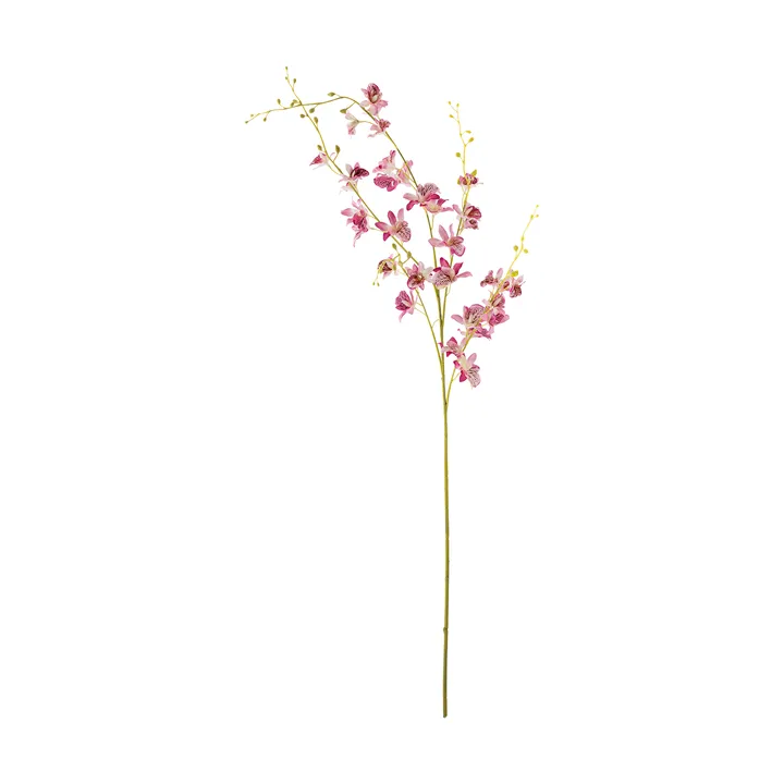 Stem 兰花蜡花 - 粉色 - Bloomingville