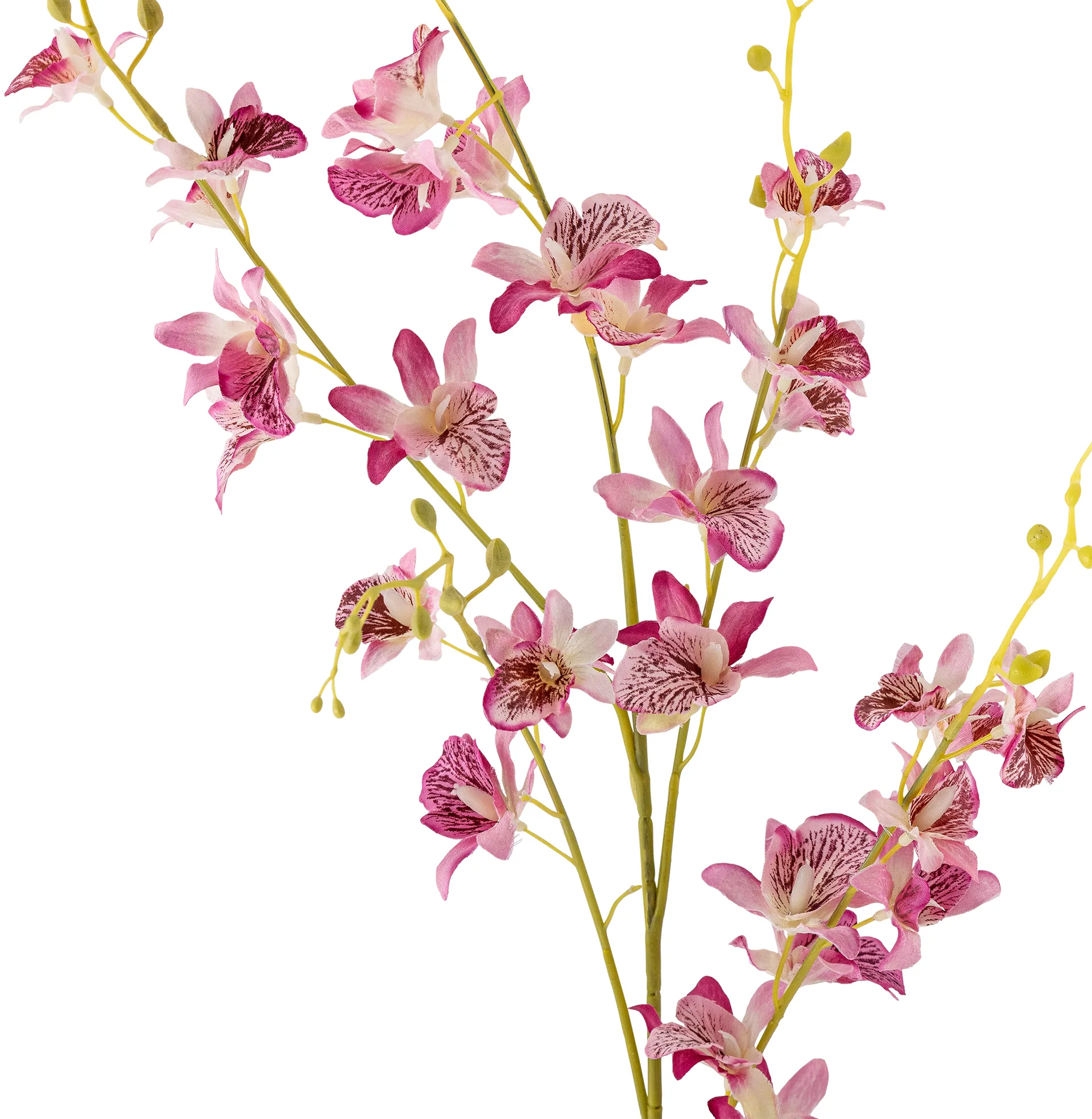 Stem 兰花蜡花, 粉色 Bloomingville