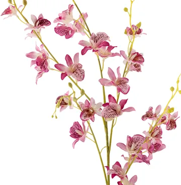 Stem 兰花蜡花 - 粉色 - Bloomingville