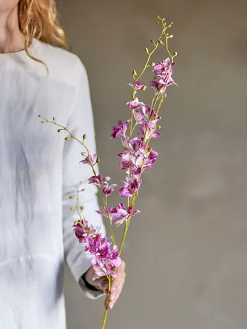 Stem 兰花蜡花 - 粉色 - Bloomingville