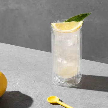 Douro Bar 双层金酒杯 300ml 2包装 - 透明 - Bodum