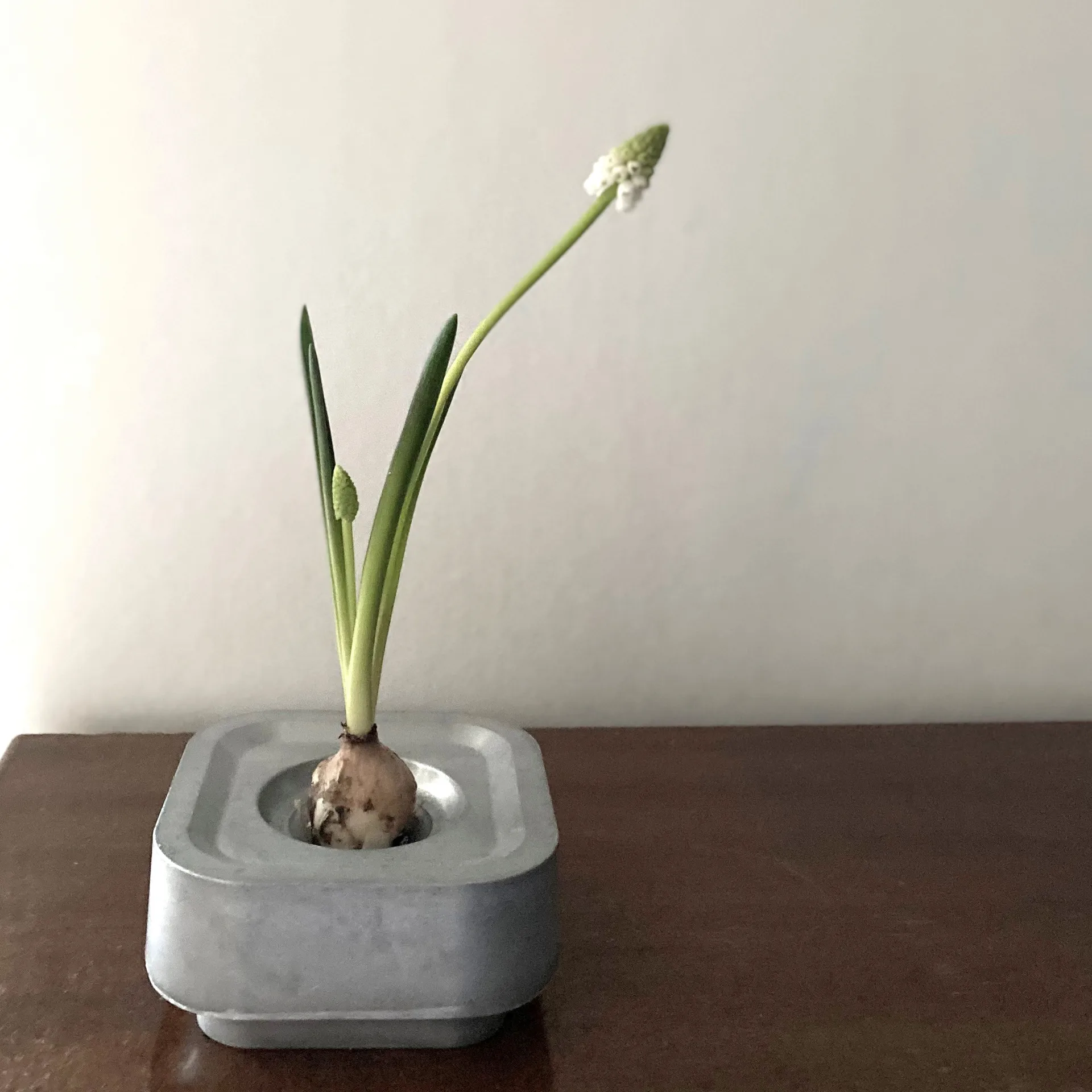 Stumpastaken 烛台  Ettan, aluminum Born In Sweden