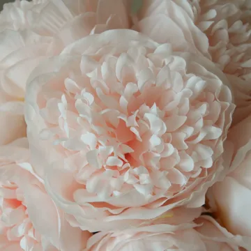 牡丹 仿真花艺术装置 - 迷你款_浅粉色_10支装 - Botané