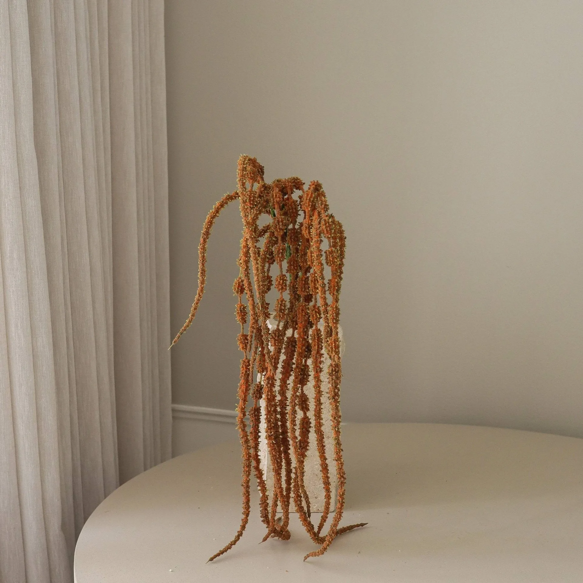 假龙头穗 人造花, 棕色，112cm Botané