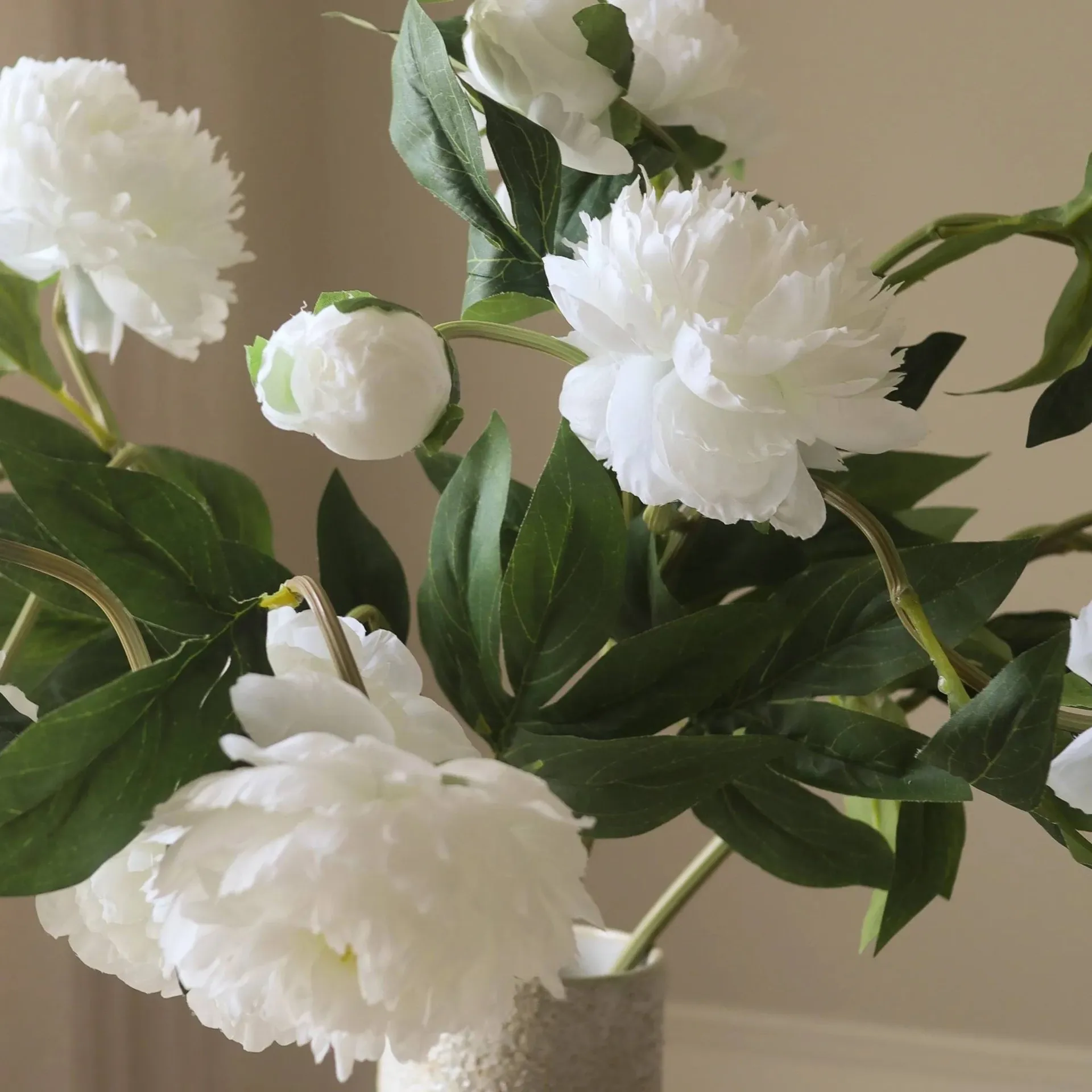 牡丹 仿真花艺术装置, 中号_白色_5支装 Botané