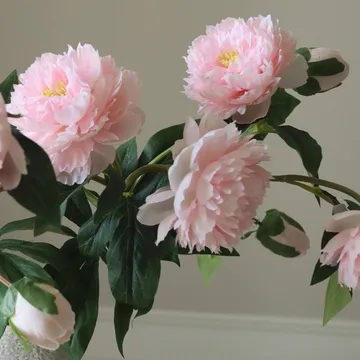牡丹 仿真花艺术装置 - 中号_粉色_5支装 - Botané