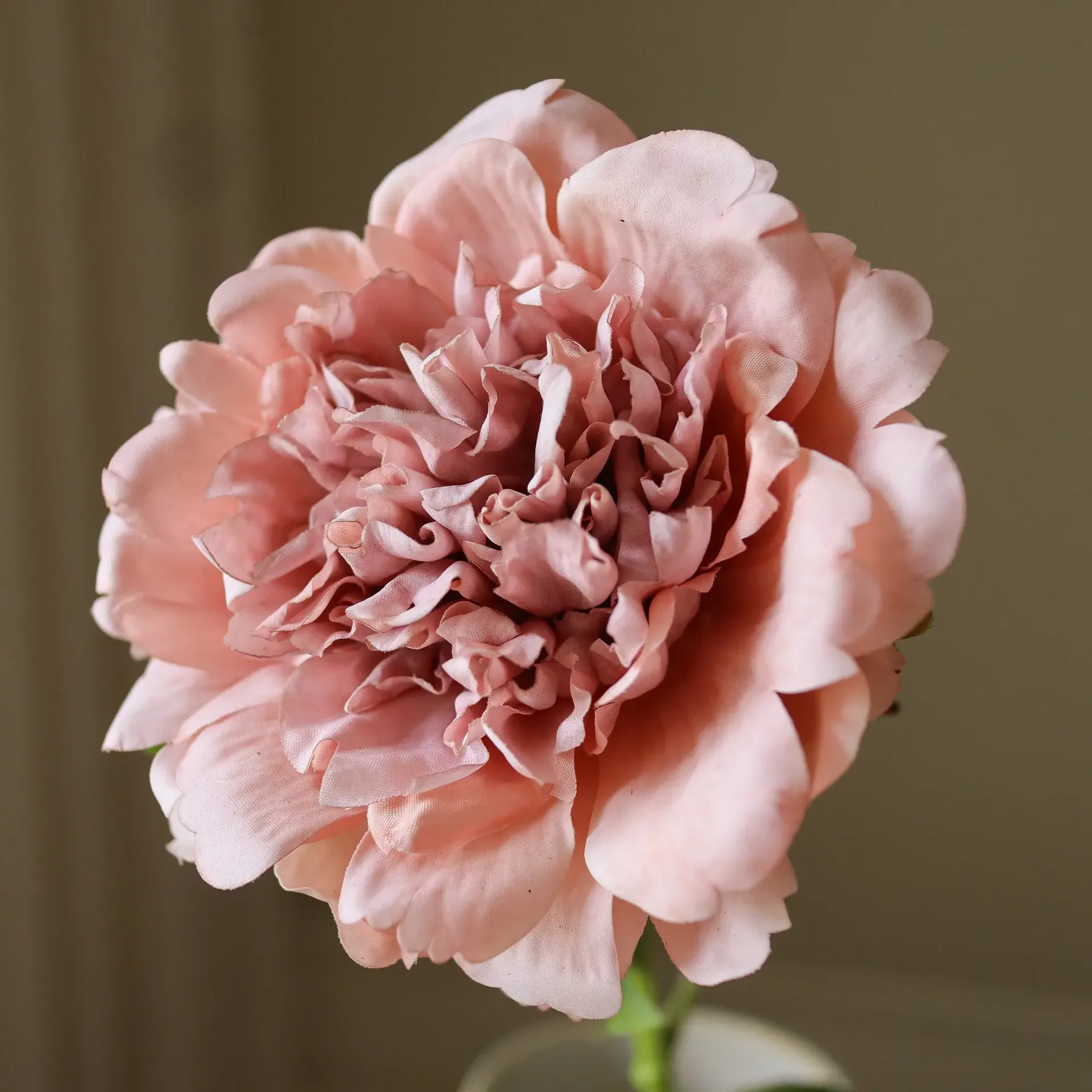 牡丹 人造花, 灰粉色，56cm，1个 Botané