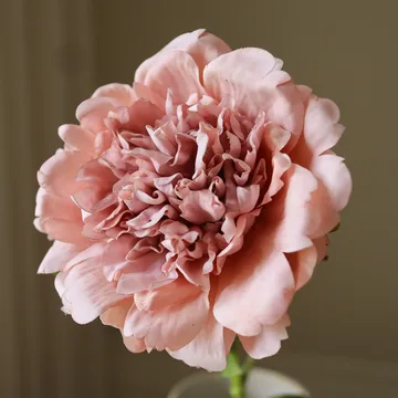 牡丹 人造花 - 灰粉色，56cm，1个 - Botané