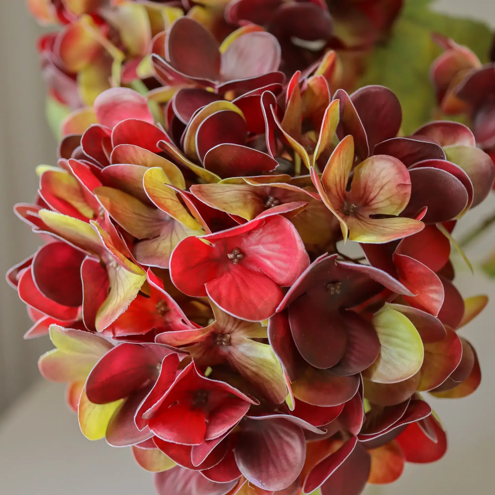 绣球花 仿真花, 深酒红色，60cm，1个 Botané