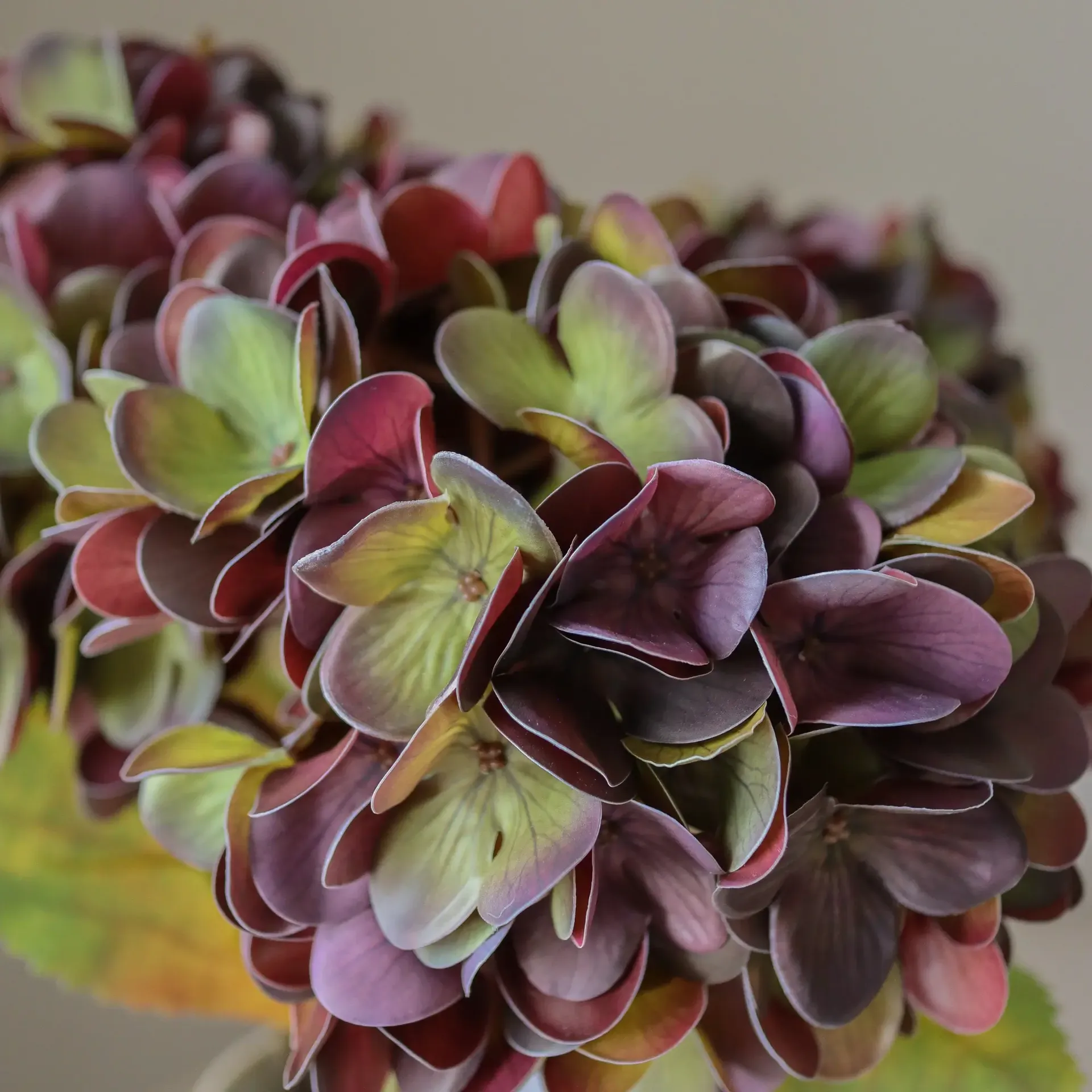 绣球花 仿真花, 柔和紫色，60cm，1个 Botané