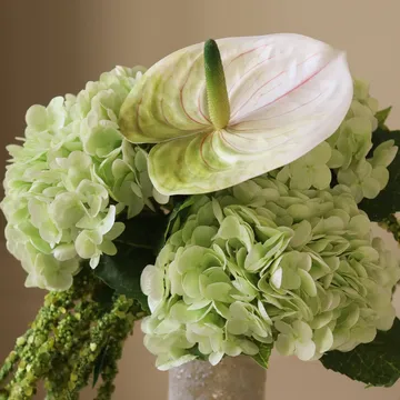 Dewdrop Symphony 露珠交响曲 仿真花艺术装置 - 浅绿色绣球花-红掌-苋花_6支装 - Botané