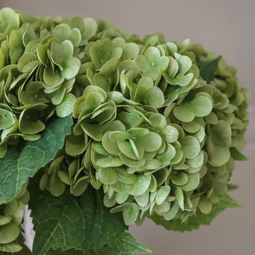 Hydrangea 绣球花 仿真花艺术装置 - 苔绿色，51cm，6个 - Botané