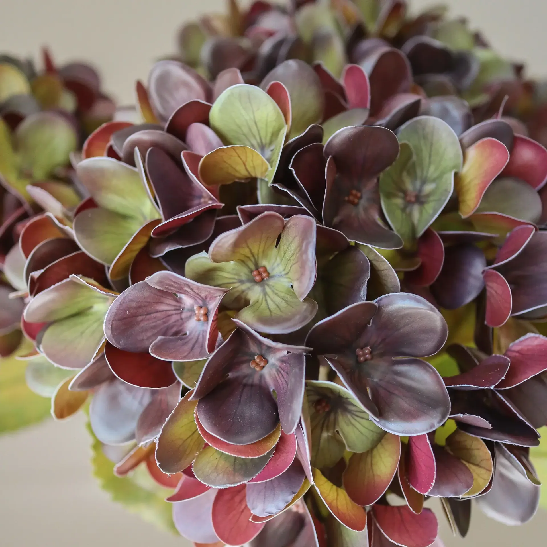 Hydrangea 绣球花 仿真花艺术装置, 柔和紫色，60 cm，6个 Botané