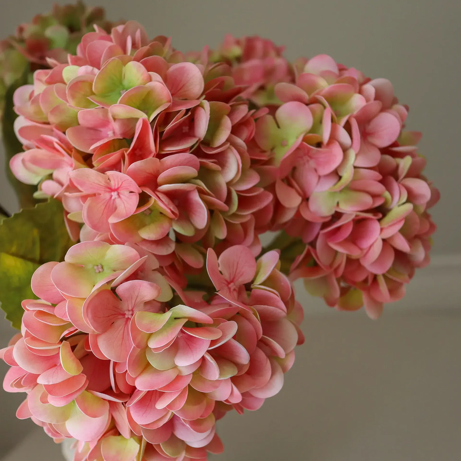 Hydrangea 绣球花 仿真花艺术装置, 柔粉色，60cm，5个 Botané
