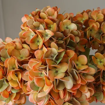 Hydrangea 绣球花 仿真花艺术装置 - 橙色，60cm，6个 - Botané