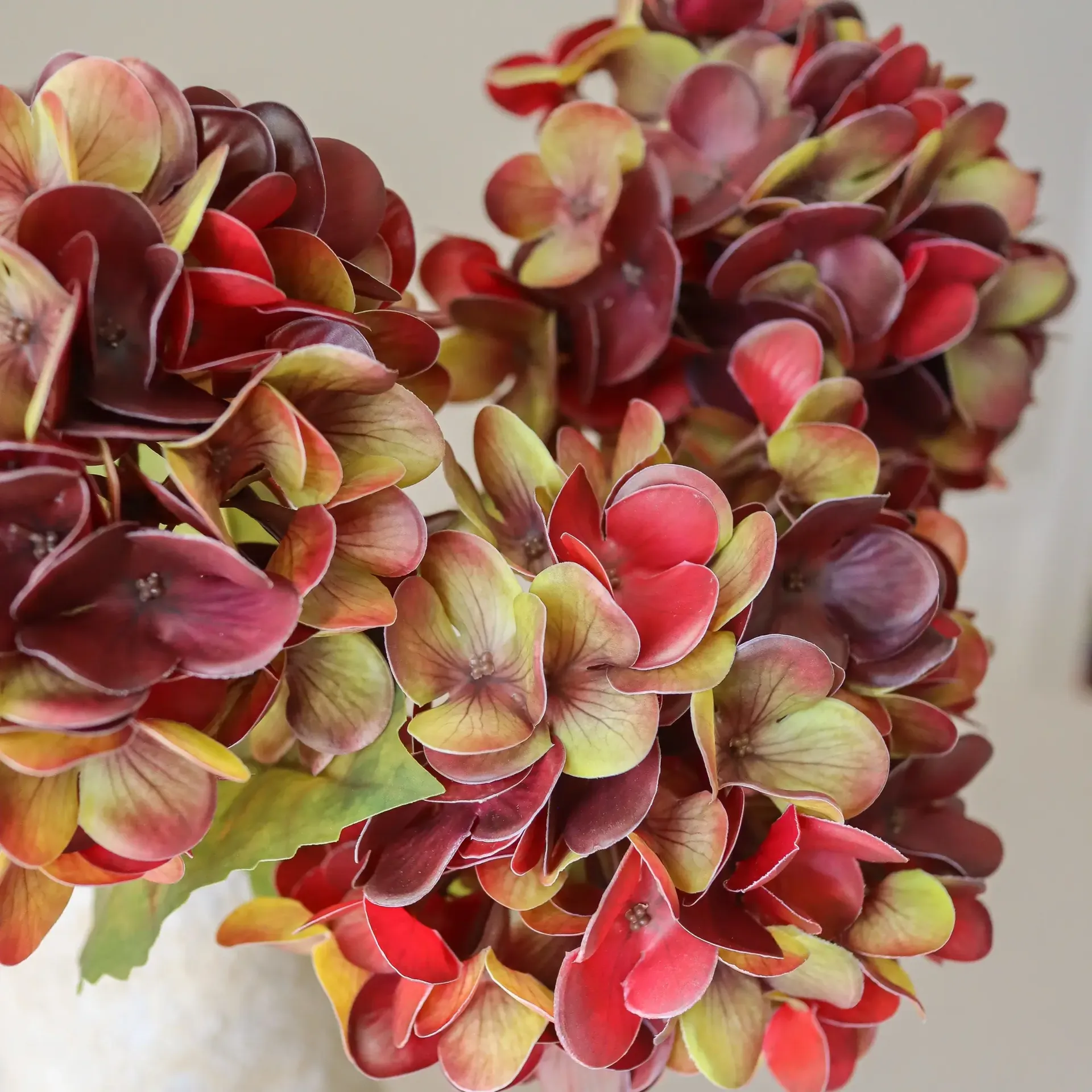 Hydrangea 绣球花 仿真花艺术装置, 深勃艮第红，60cm，6个 Botané